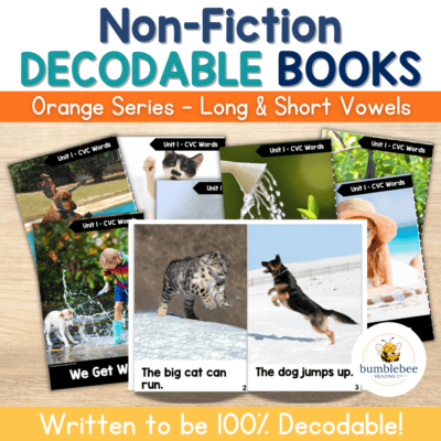 8 Non-Fiction SEASONAL Books – Decodable Adventure Series - CVC Words