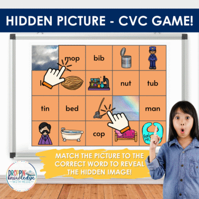 Hidden Picture - CVC Word Decoding Game!