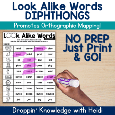 Look Alike Words - DIPHTHONGS