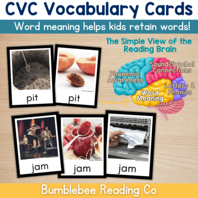 CVC Word Vocabulary Cards Phonics Comprehension Meaning