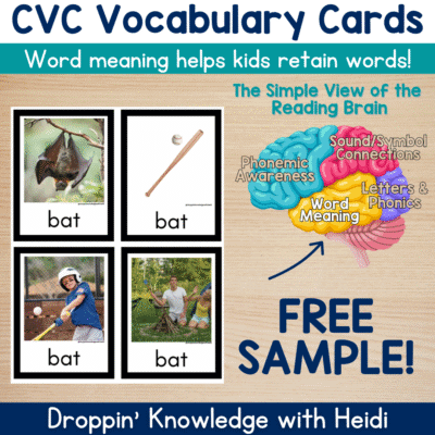 CVC Vocabulary Cards - Sample