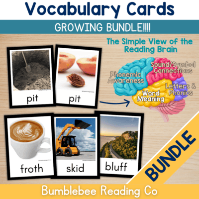 Vocabulary Cards for Comprehension Meaning Phonics CVC Blends Digraphs BUNDLE