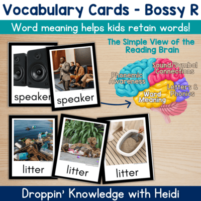 Bossy R Vocabulary Cards Phonics Comprehension Meaning