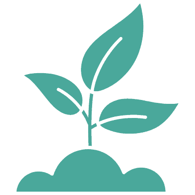 SEO Boost icon represented by a potted plant in teal