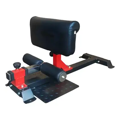 SENTADILLA SISSY PROFESIONAL