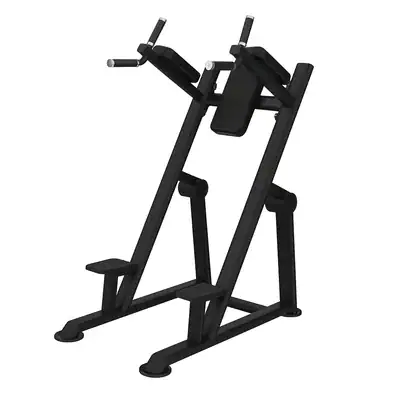 APARATO PARA ABDOMEN Y FONDOS UP/DIP