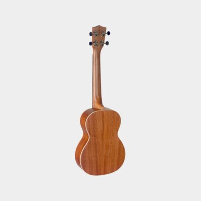 Stagg UT-30