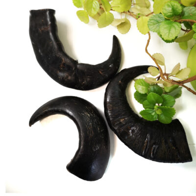 Cuerno de Búfalo Mordedor Muy Resistente