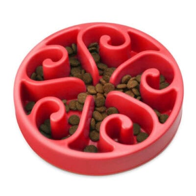 Comedero Anti Voracidad Grande