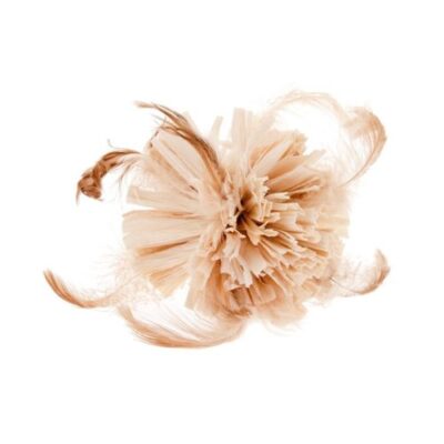 Bola de Maíz con Plumas