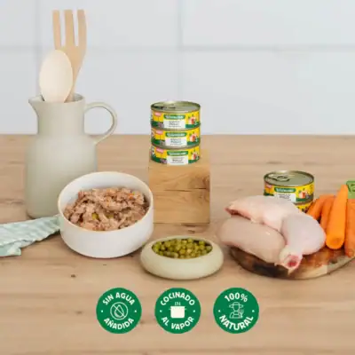 Wild Balance Cazuela de Pollo para Gatos