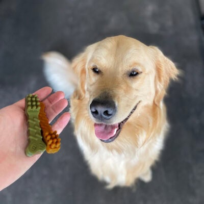 Cepillo Dental Relleno de Menta