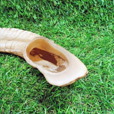 Cuerno de Carnero Mordedor Resistente