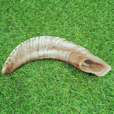 Cuerno de Carnero Mordedor Resistente