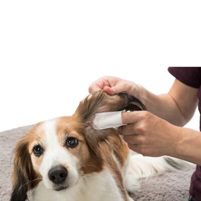 Limpiador de Orejas con Aloe Vera