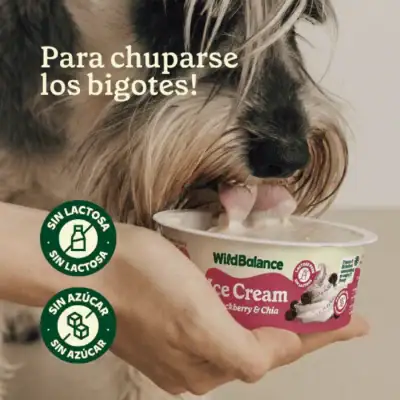 Wild Balance Yogur Helado
