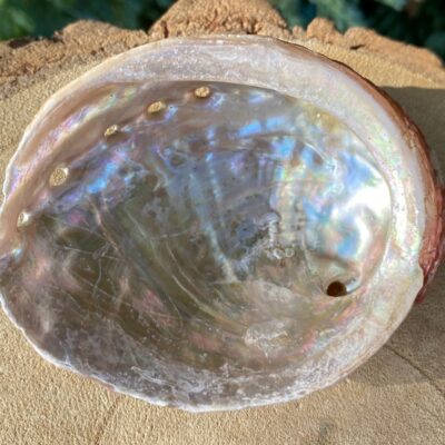 Spiral Crystals - Abalone Shell