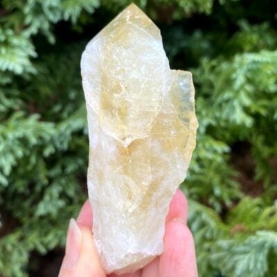 Spiral Crystals UK - Heat Treated Citrine Point