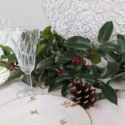 coupe ancienne en fer forgé