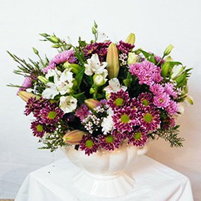 12 - רנה פרחים