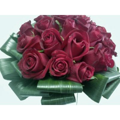 702 - הפינה הירוקה