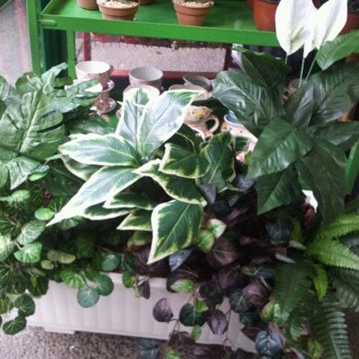 אדניות צמחים מלאכותיים - דבי פרחים