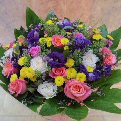 הרמוניה - פלורנס