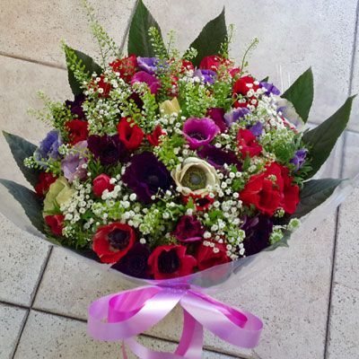 חגיגה - פלורנס