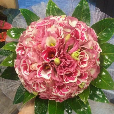 כדור ליזיאנטוס בגווני ורוד - דבי פרחים