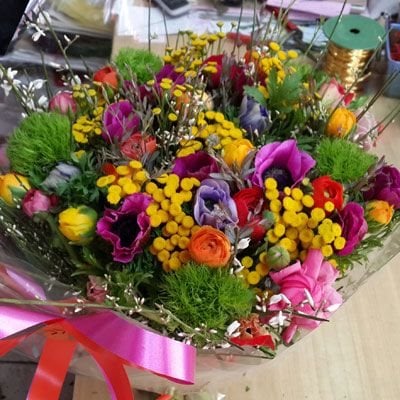 פריחת האהבה - פלורנס