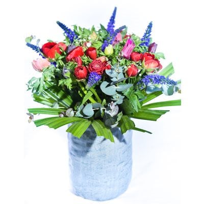 צבעי הקשת - פרח בר