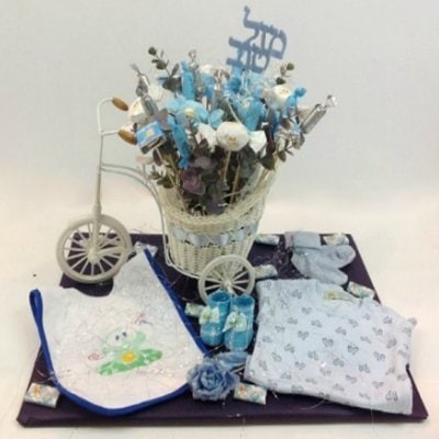 BABY BOY - תלתן פרחים