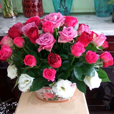 סידור 2 - מימוזה