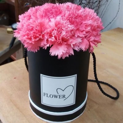 גן עדן - פרחי סיתוונית