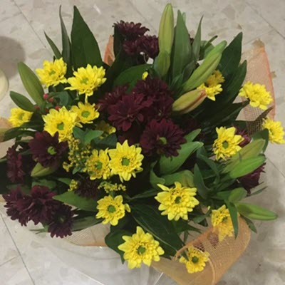 זריחת השמש - פרח וסימפטיה