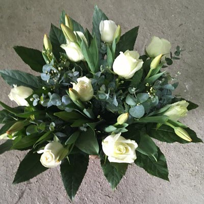 ירח זוהר - פרח וסימפטיה