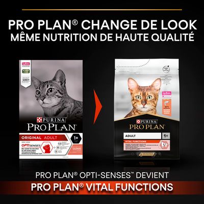 Purina Pro Plan Adult Chat adulte