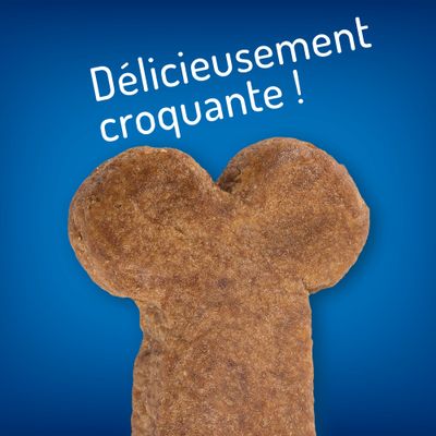 Hill’s HypoAllergenic Treats – Chien