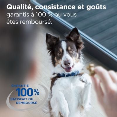 Hill’s HypoAllergenic Treats – Chien