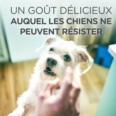 Hill’s HypoAllergenic Treats – Chien