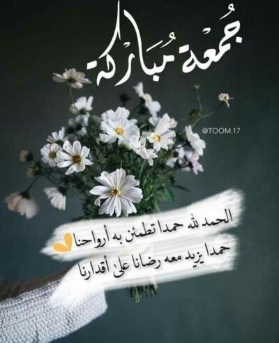 كولكشن صور يوم الجمعة.