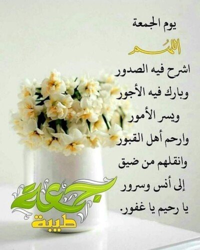 كولكشن صور يوم الجمعة.