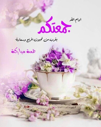 كولكشن صور يوم الجمعة.