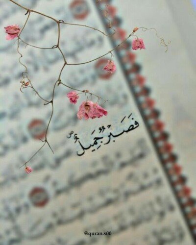 رسائل عن الصبر.