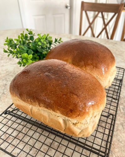 Fresh Milled flour bread loaves resting on a wire baking rack with a green fake plant in the background.