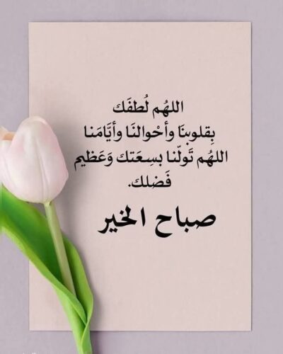 بطاقة صباح الخير مع وردة حمراء وكلمات حب.