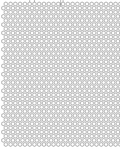 Hexagonal dislocation 0.156 x 0.216