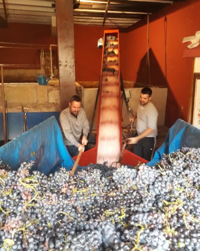 Our La Rioja wine tours will include some family-run wineries