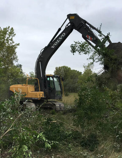 Brush clearing in LeRoy by Midstate Land Solutions