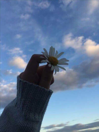 خلفيات وبروفايلات بنوتات كيوت.